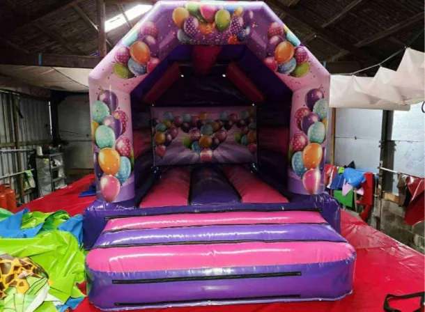 10 X 12 Pink And Purple Party Time Balloon Castle