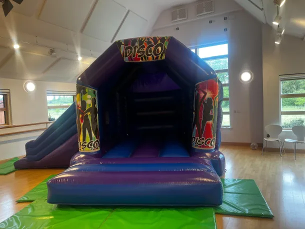Blue And Purple Side Slide Disco