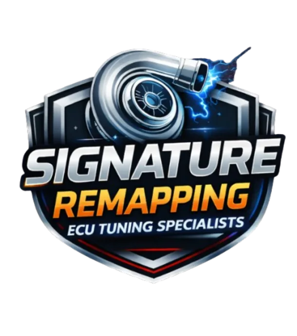 Professional Speed Limiter Removal And Ecu Tuning