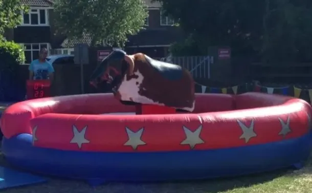 Rodeo Bull Hire 2 Hours