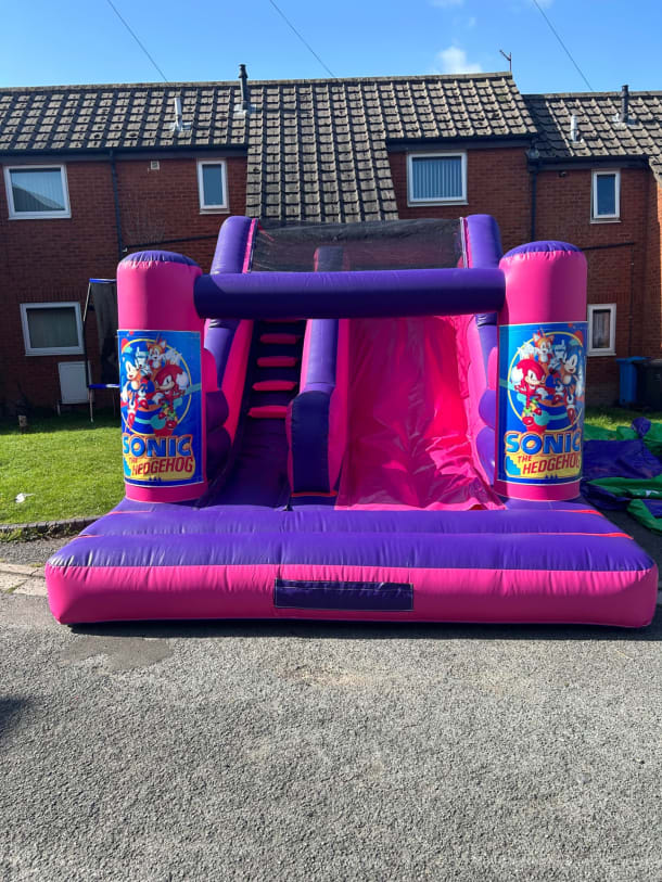 Pink And Purple 5ft 6 Platform Slide Sonic