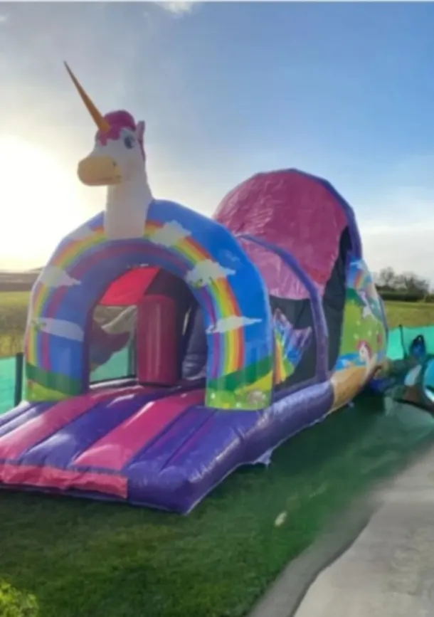 Unicorn 35 Ft Obstacle Course
