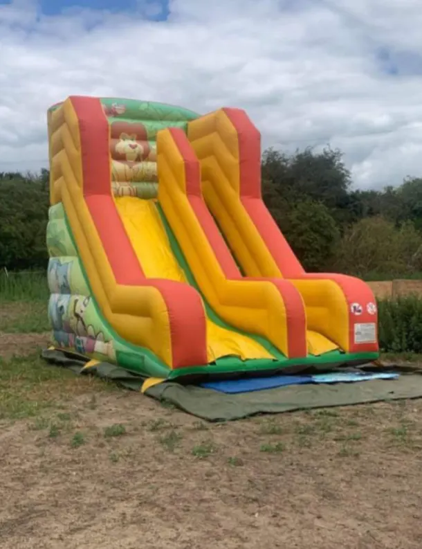 Jungle Slide