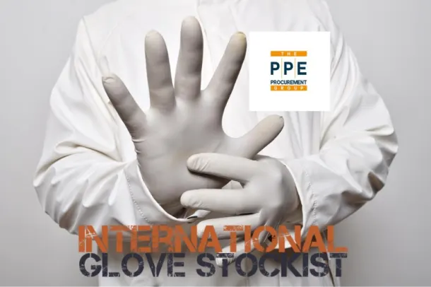 Nitrile Gloves