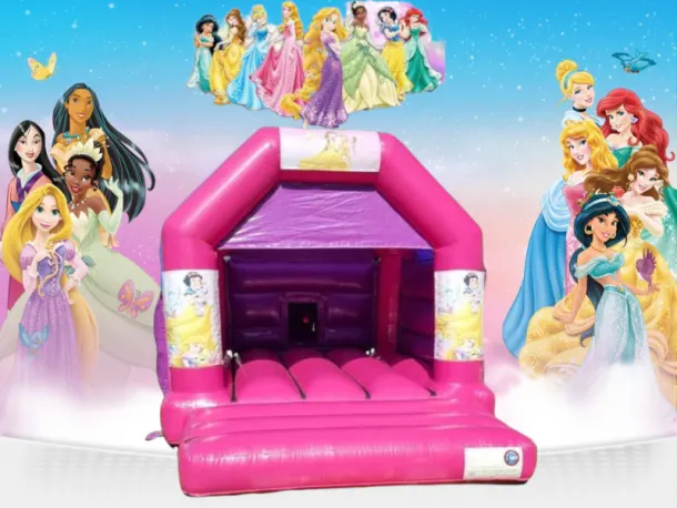 Princess  Bouncy Castle