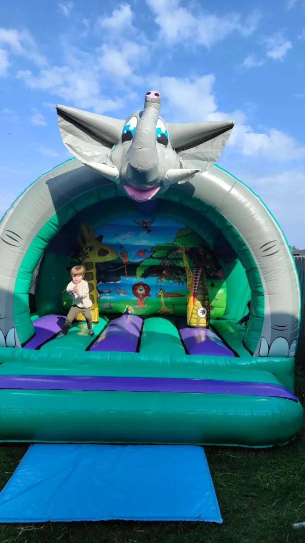 3d Elephant Jungle Curved Bouncy Castle