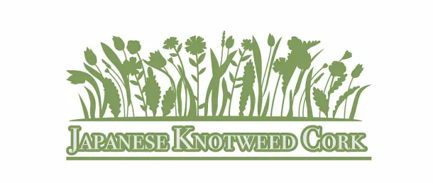 Japanese Knotweed Excavation