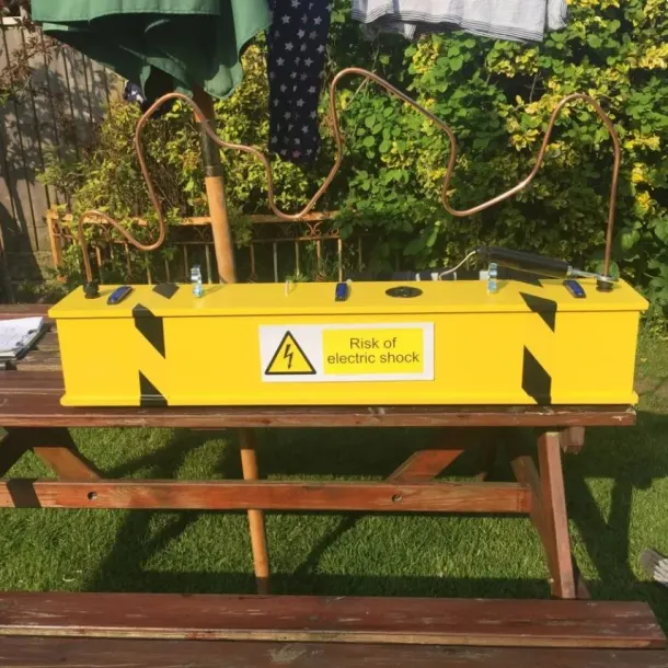 Giant Yellow Buzzer