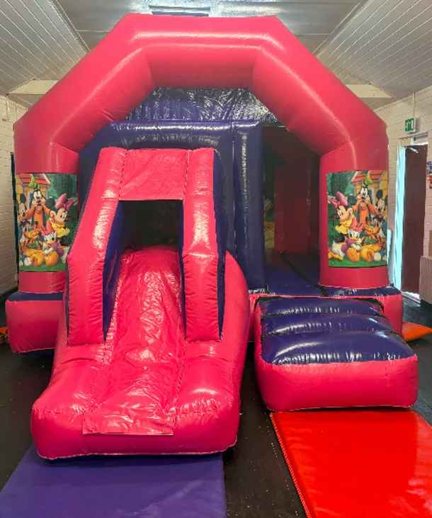 Pink And Purple Combo Castle - Disney