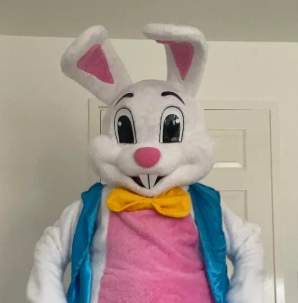 Easter Bunny Mascot 2