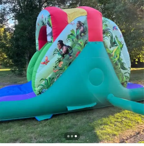 Jungle Slide Castle