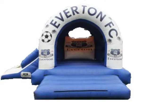 15ft X 17ft Efc Slide Castle