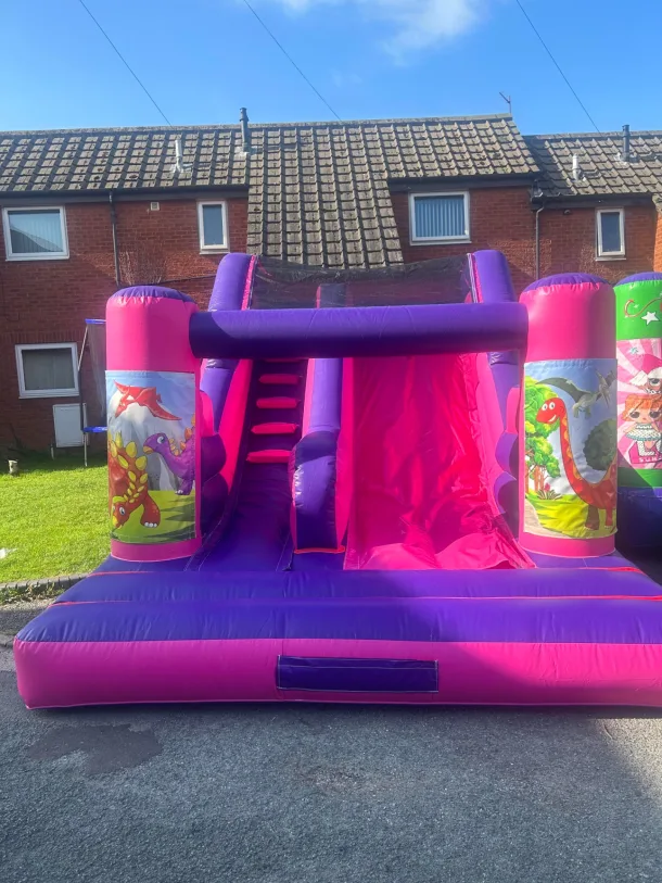 Dinosaurs Pink And Purple 5ft 6 Platform Slide