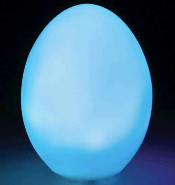 Egg Light