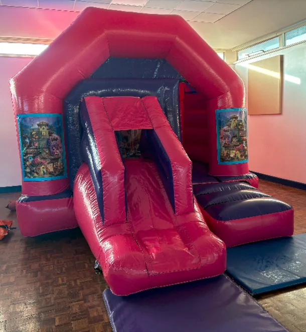 Pink And Purple Combo Castle - Encanto Theme