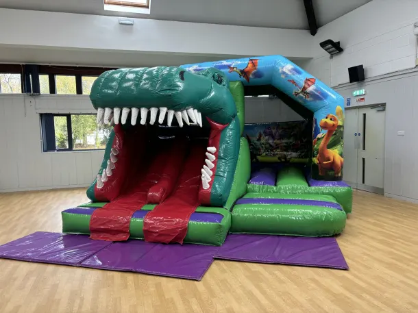 Dinosaur 3d Twin Slide Bouncy Castle