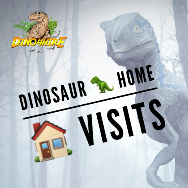 Baby Dinosaur Home Visit