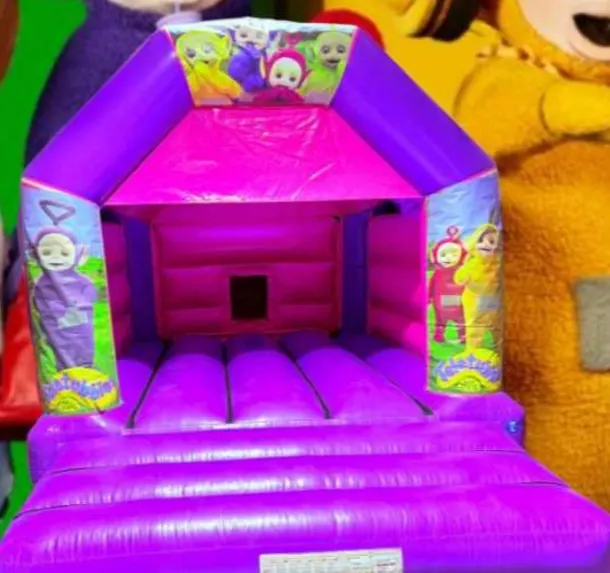 Teletubbies Themed Pink And Purple Castle