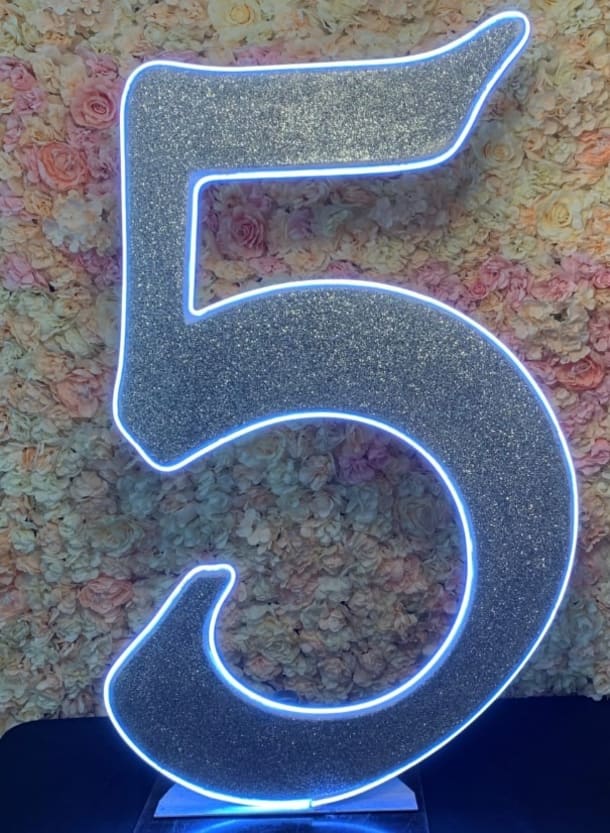 4ft Light Up Number 5