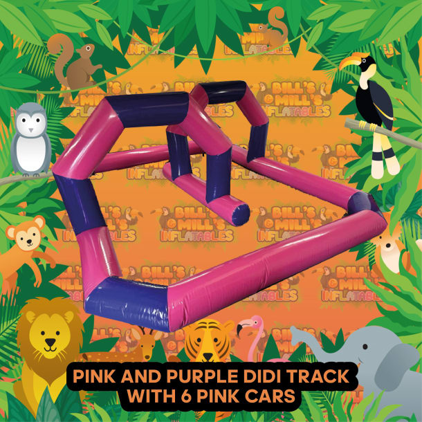 Pink And Purple Didi Car Track And 6 Cars