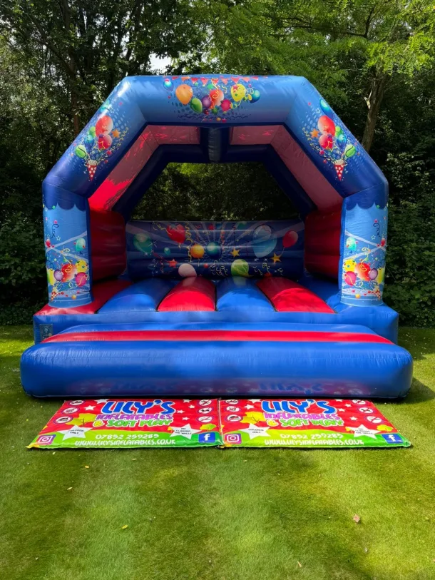 Adult Red And Blue 15x15