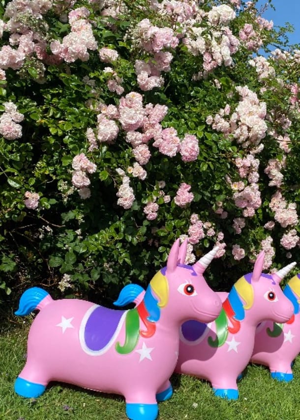 Unicorn Hoppers