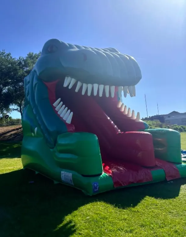 10ft Dinosaur Slide