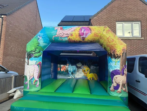12ft X 12ft Disco Unicorn