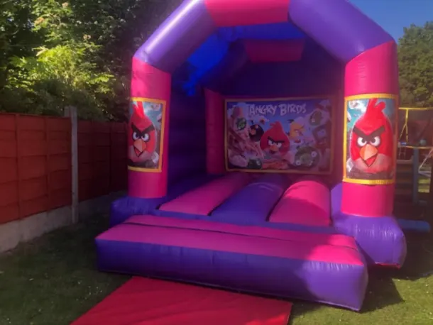 12ft X 12ft Pink And Purple - Angry Birds Theme