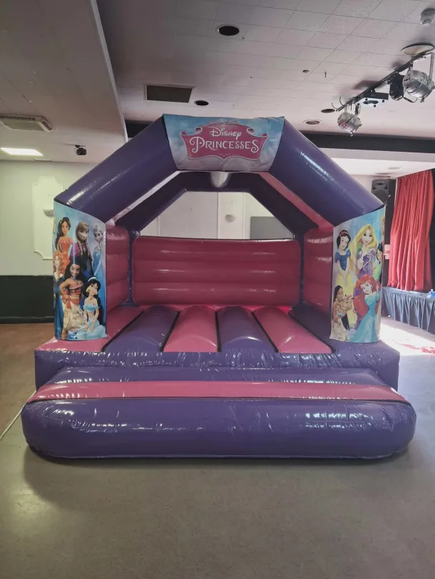 Pink And Purple Princess Castle