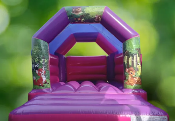 Pink Purple Bouncy Castle 11x15 Woodland Theme