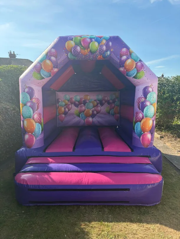 Pink And Purple Celebration Castle