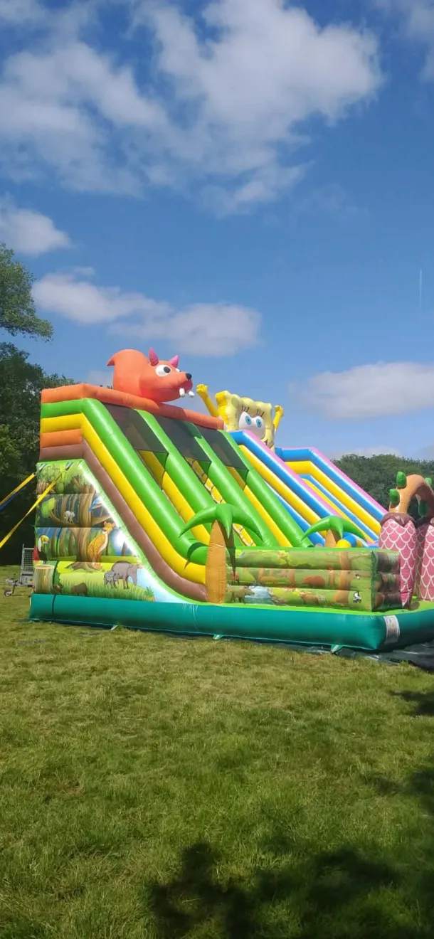 Mega Twin Lane Jungle Slide