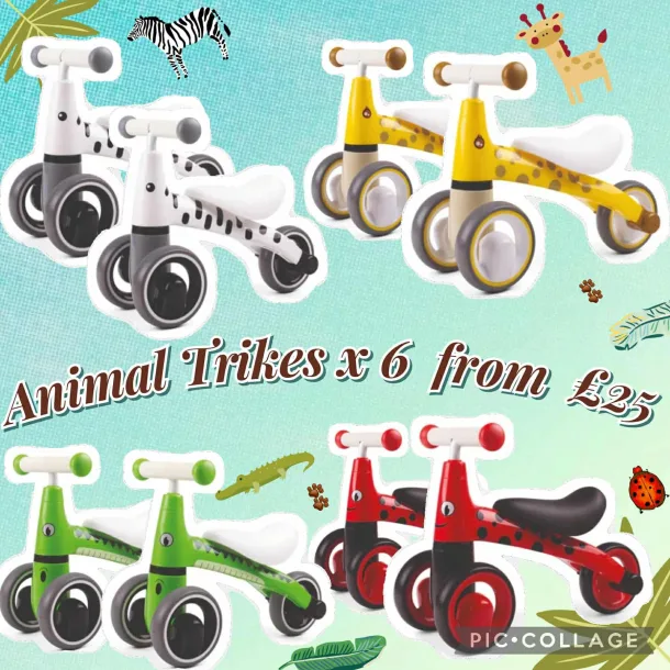 Animal Trikes X6