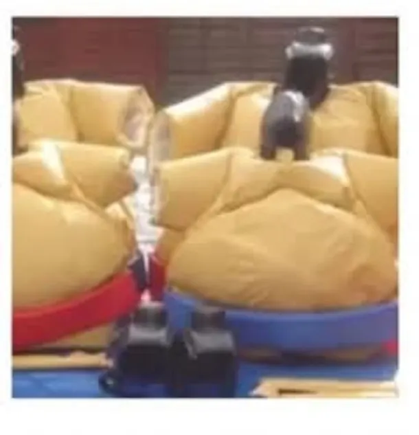 Kids Sumo Suits