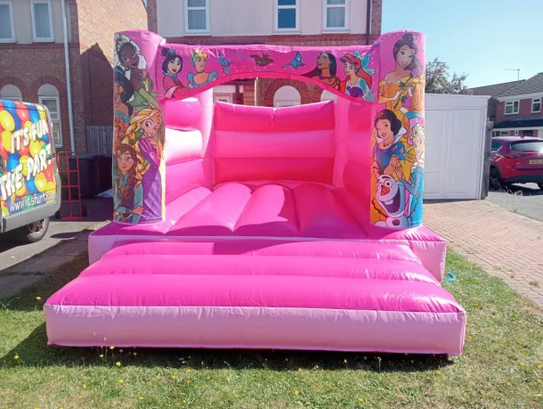 Pink Princess Themed Bouncy Castle Featuring Frozen And Disney Princesses