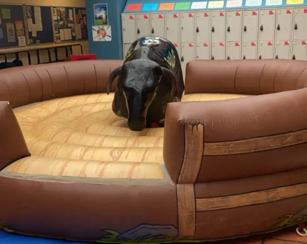 Rodeo Bull