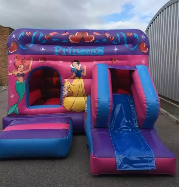 Princess Themed Low Level Combi Castle