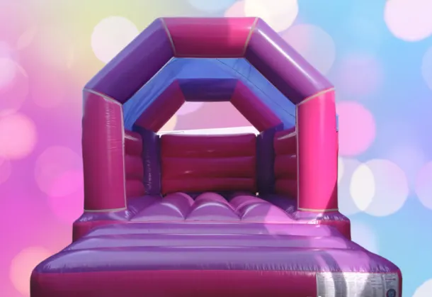 Pink Purple Bouncy Castle 11x15 No Theme