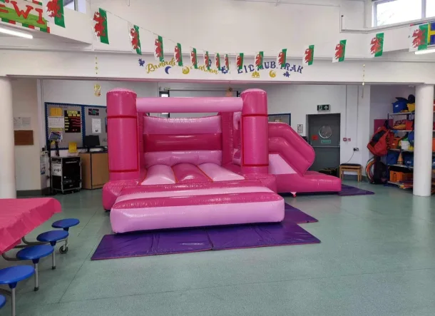 Pink Low Height Combi Hire