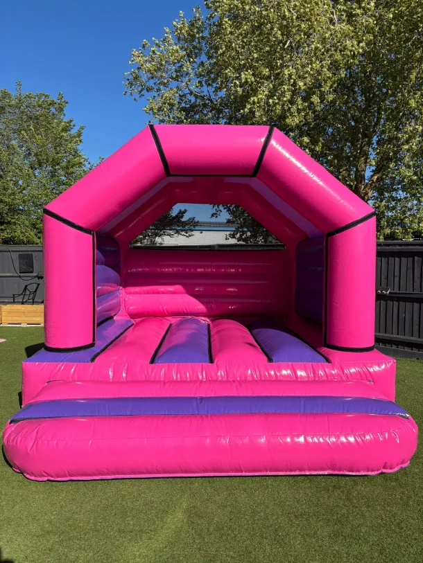 Pink And Purple Bouncy Castle