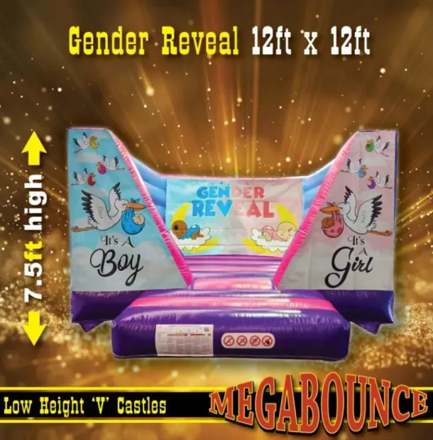 12ft X 12ft Low Height Gender Reveal Bouncy Castle