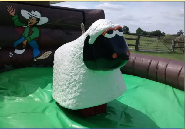 Rodeo Sheep