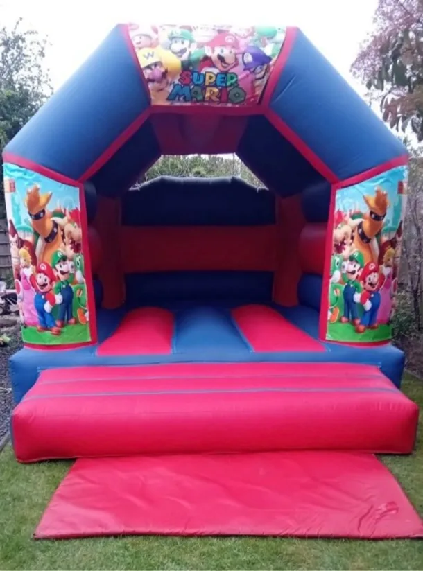 11 X 15ft Mario