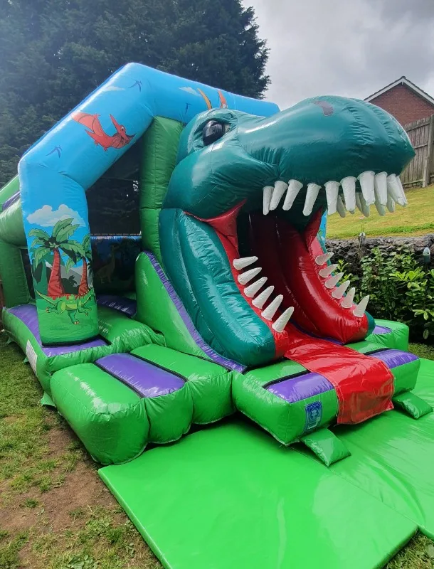 Disco 3d Dinosaur Front Slide Combi