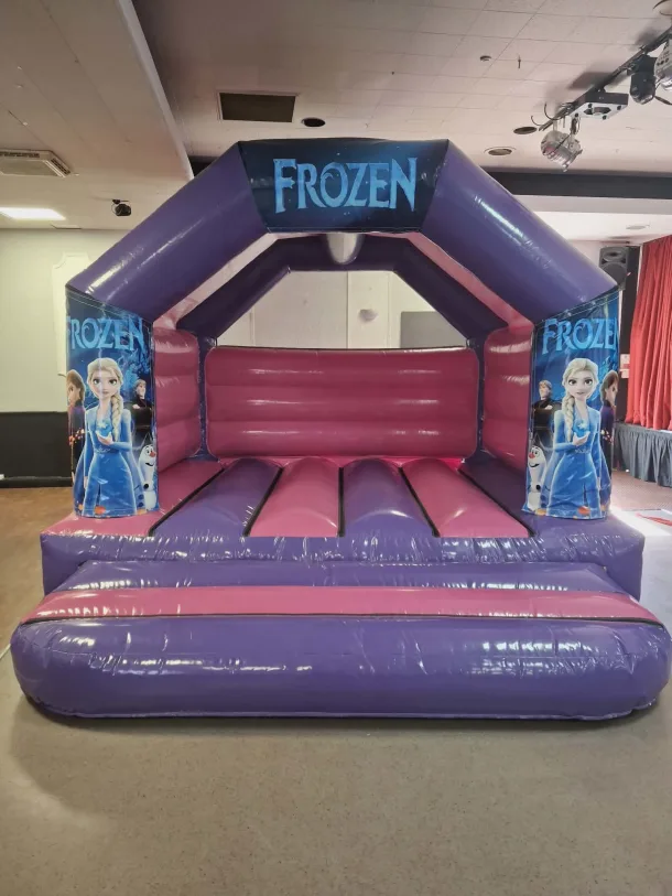 Pink And Purple Frozen Castle