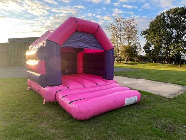 Pink And Purple Castle