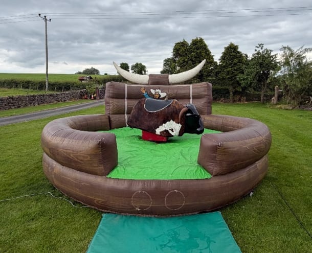 Mechanical Rodeo Bull