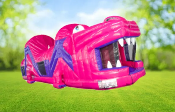 Pink 9ft High Slide Croc