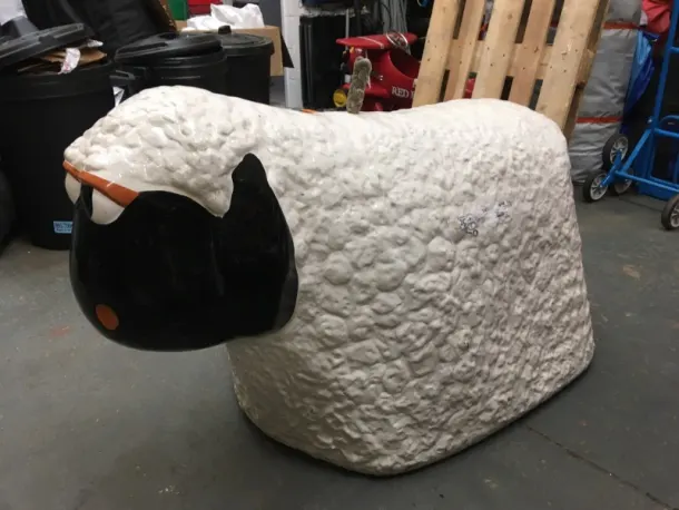 Rodeo Sheep